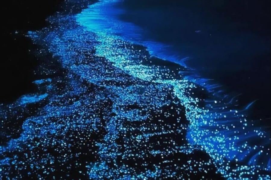 Sea of Stars Maldives Best time to Visit