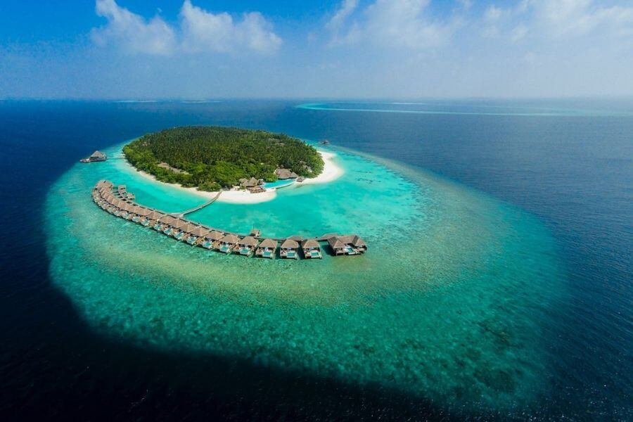 Dive into Wonder: Whale Shark Maldives Best Time to Swim with 7 whale shark maldives best time baa atoll